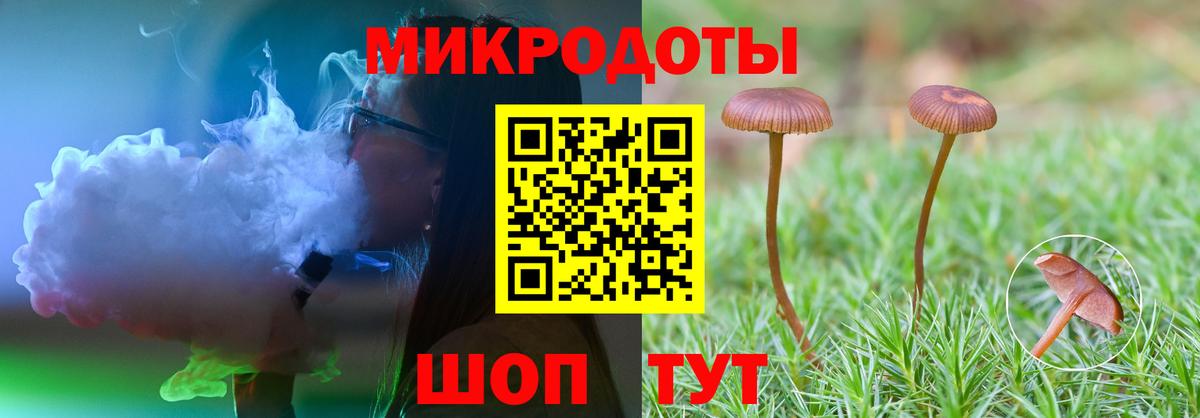 Псилоцибиновые грибы прущие грибы Трёхгорный